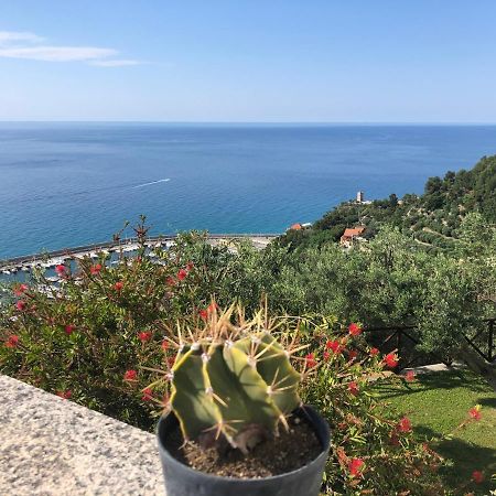 Villa Degli Ulivi B&B Finale Ligure Kültér fotó